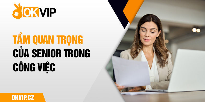 Tầm quan trọng của senior trong công việc