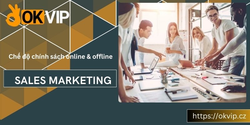 Chế độ và chính sách với nhân viên Sales marketing offline