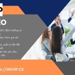 Mô tả chi tiết công việc leader SEO tại Liên minh OKVIP