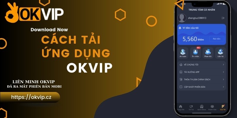 Khái quát đôi nét cơ bản về hệ thống ứng dụng OKVIP