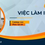 Việc làm IT web