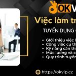 tuyển dụng việc làm trợ lý SEO tại liên minh OKVIP