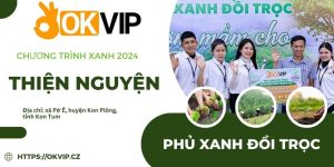 Hoạt động phủ xanh đồi trọc 2024