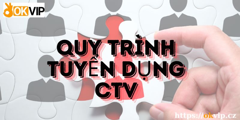 Lên Kế hoạch và quy trình tuyển dụng cộng tác viên