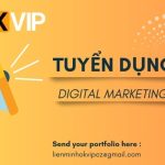 tuyển dụng Digital Marketing